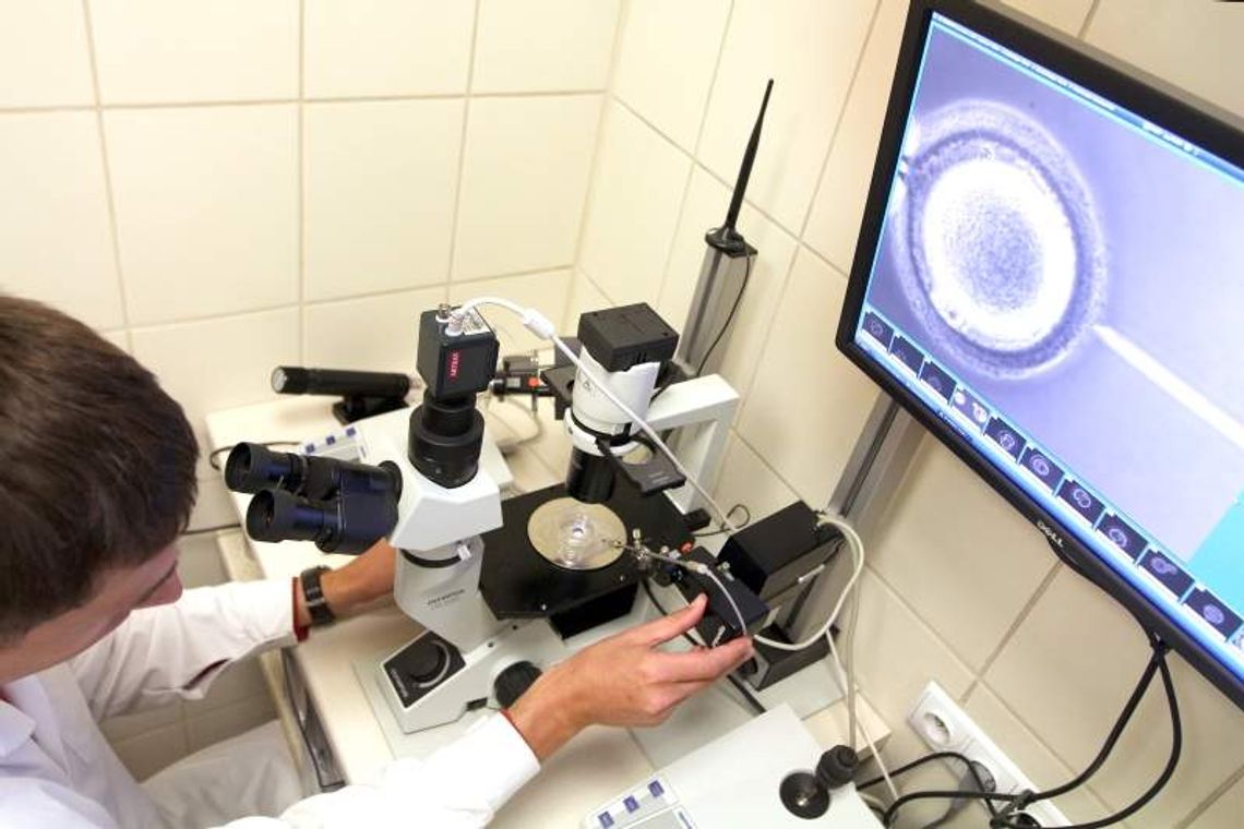 Setki chętnych na in vitro. Kliniki w Lublinie notują duże zainteresowanie programem Setki chętnych na in vitro. Kliniki w Lublinie notują duże zainteresowanie programem