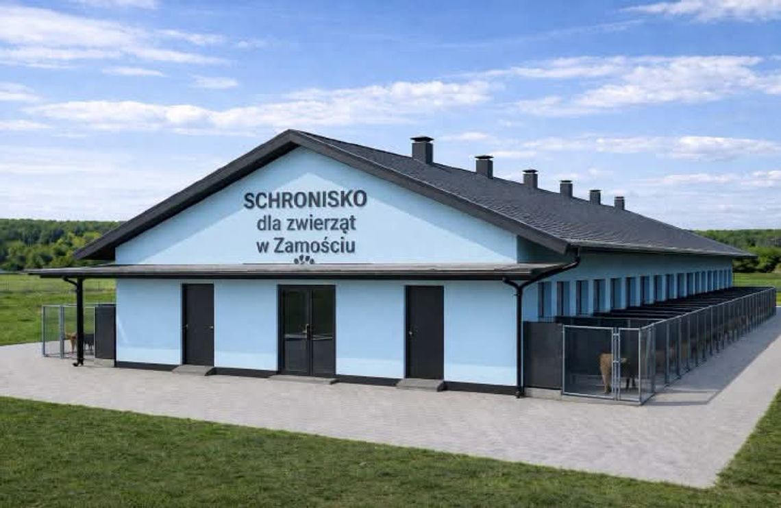 Setki tysięcy ponad plan. Oferty na schronisko wyższe niż zakładano Schronisko dla zwierząt Zamość
