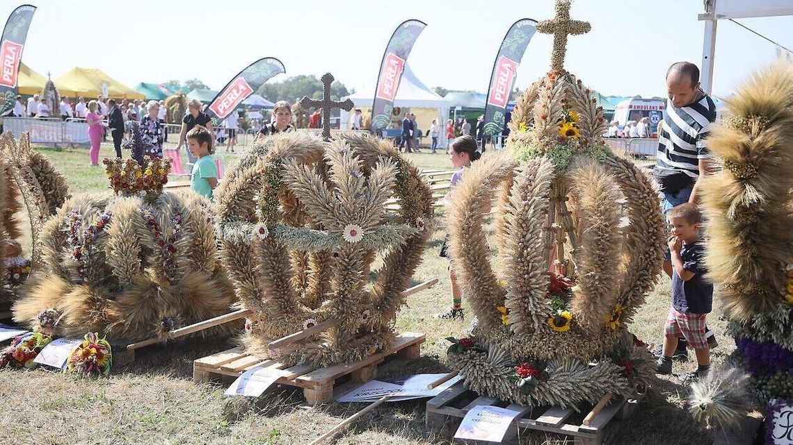 Sezon dożynkowy w pełni. Sprawdź, kiedy w twoim regionie odbędzie się święto plonów