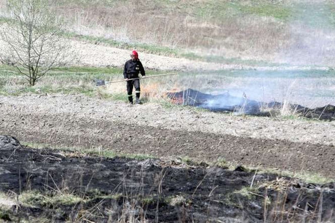 Sezon na wypalanie traw. Nie pomagają apele i groźby. Nawet 20 wyjazdów w tygodniu