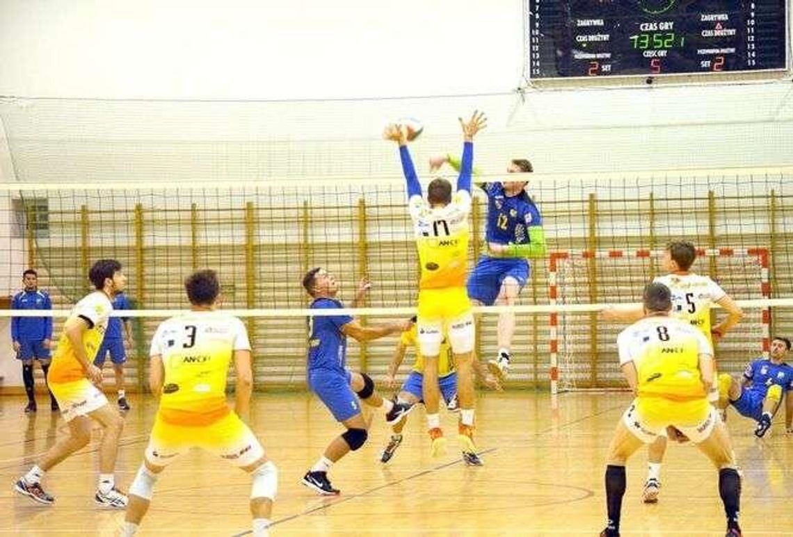 Siatkarze Avii rozopczynają przygotowania do kolejnego sezonu