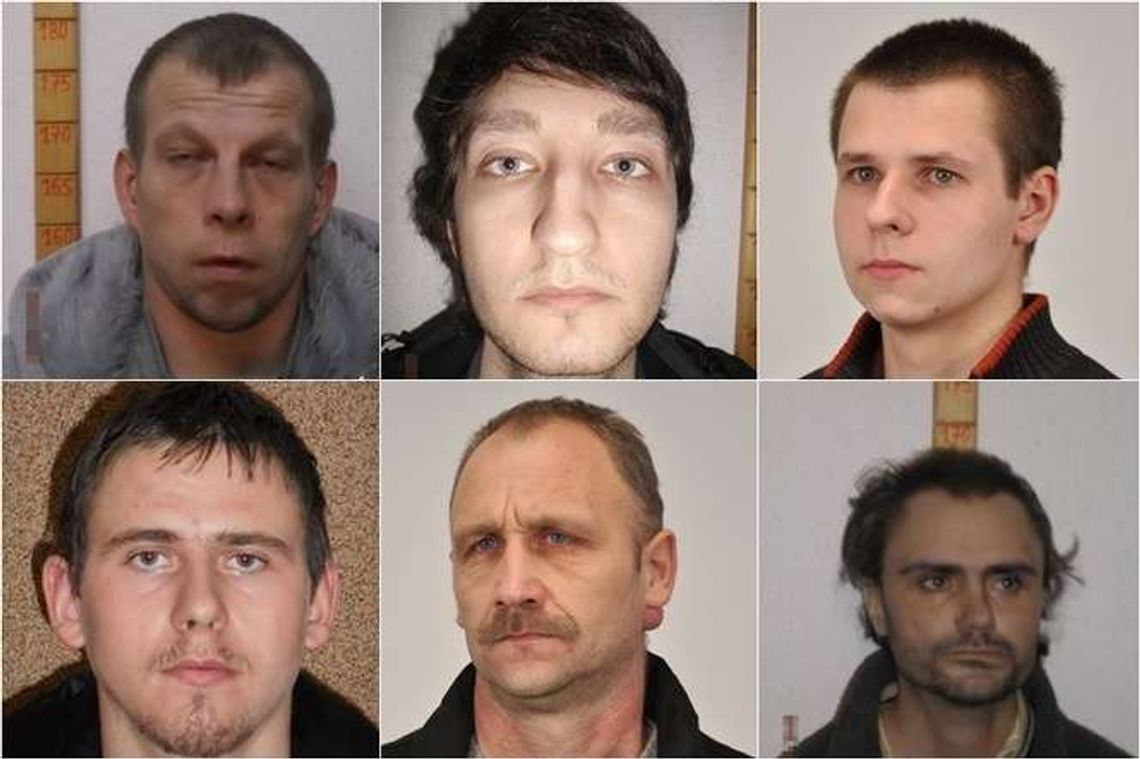 Sieć pedofilów rozpracowana. Policja szuka osób pokrzywdzonych (ZDJĘCIA)