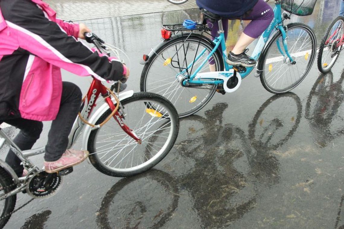 Sieć wypożyczalni rowerów w pow. puławskim zacznie działać w lipcu 