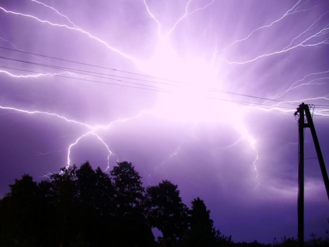 Sięciaszka I: Piorun zabił osiem sztuk bydła 