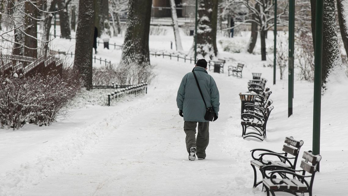 Silne mrozy ostatniej nocy. W kolejnych dniach ma być znacznie cieplej [prognoza pogody]