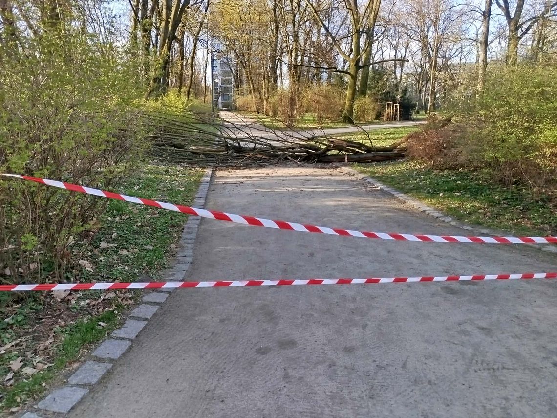 Silny wiatr nad Lubelszczyzną. Ostrzeżenie dla całego regionu Silny wiatr nad Lubelszczyzną. Ostrzeżenie dla całego regionu