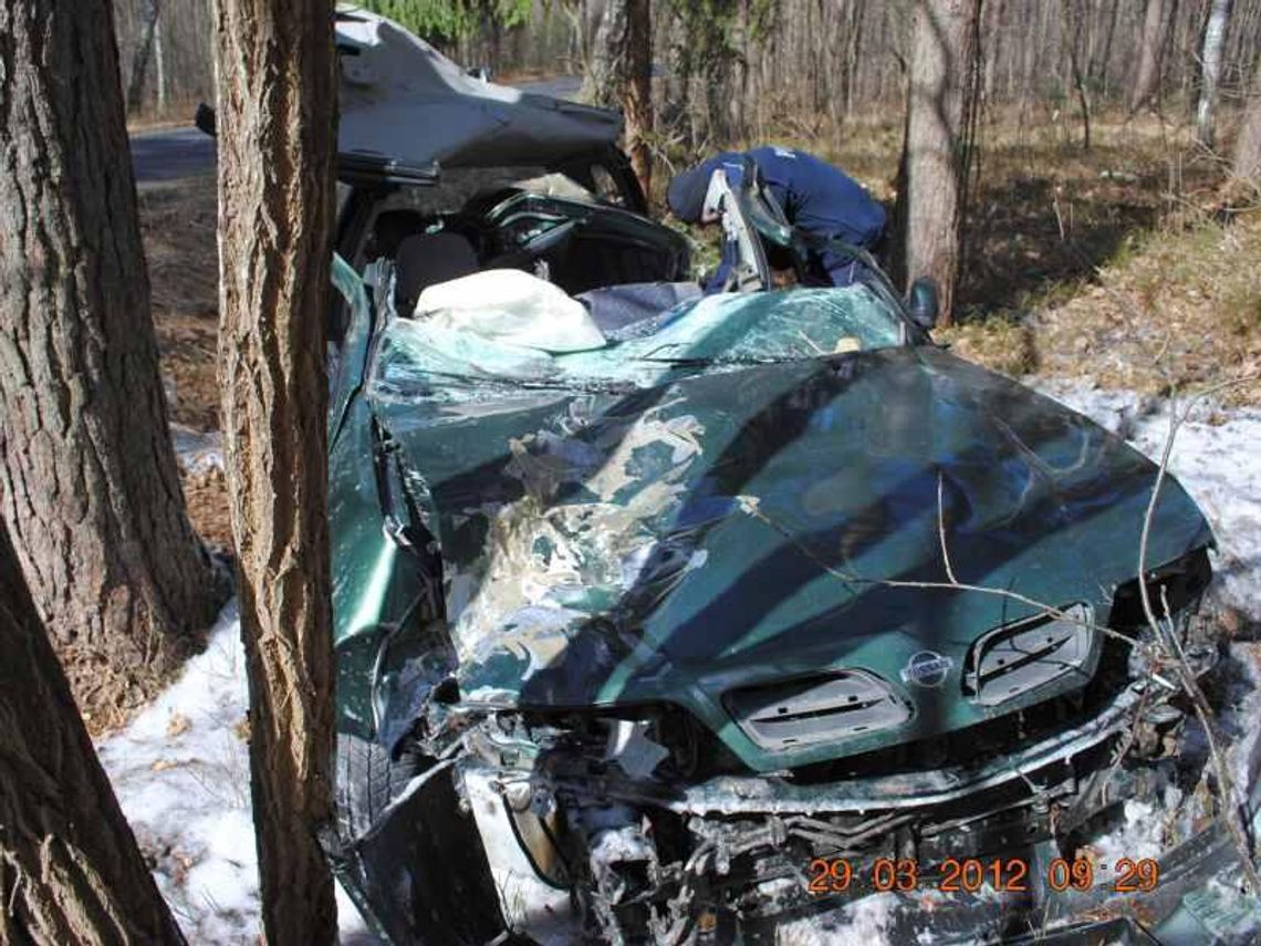 Silny wiatr powalił drzewo na przejeżdżający samochód Silny wiatr powalił drzewo na przejeżdżający samochód