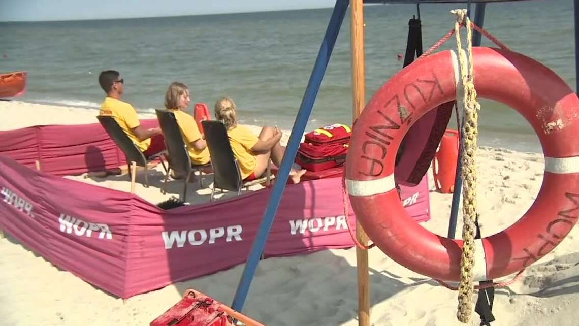 Sinice nadal niebezpieczne nad Bałtykiem [wideo]