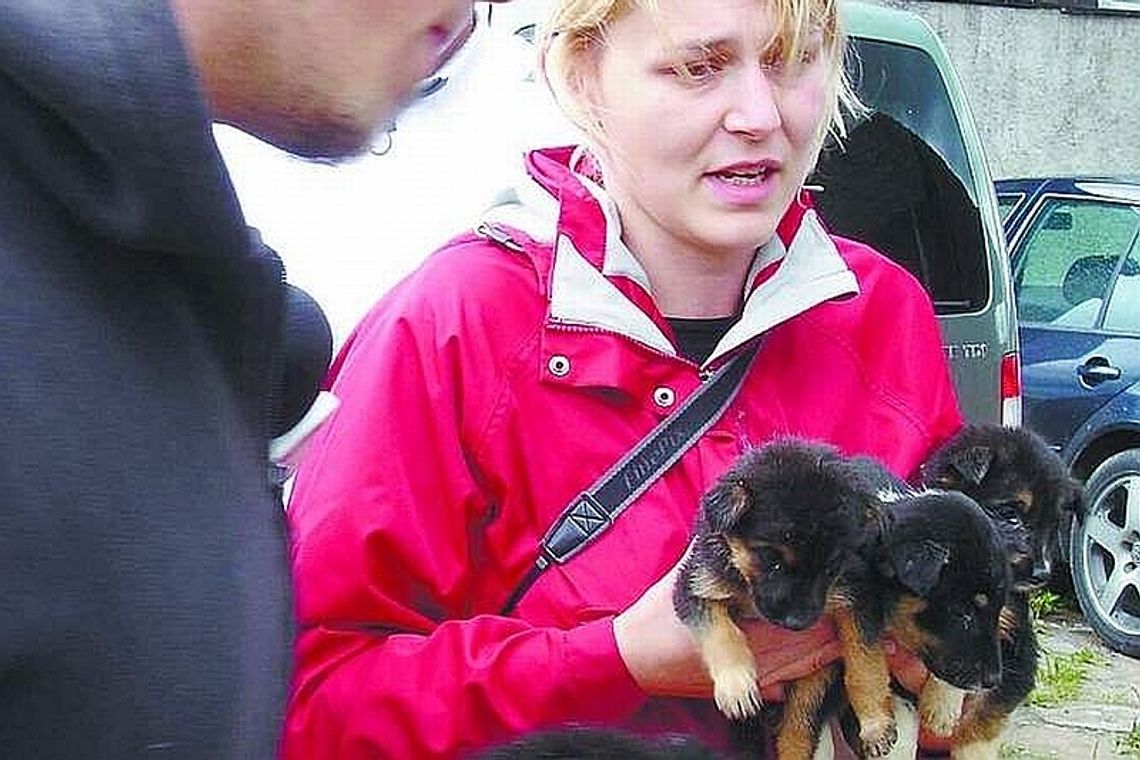 Skandaliczne warunki w schronisku. Umierające i chore szczeniaki