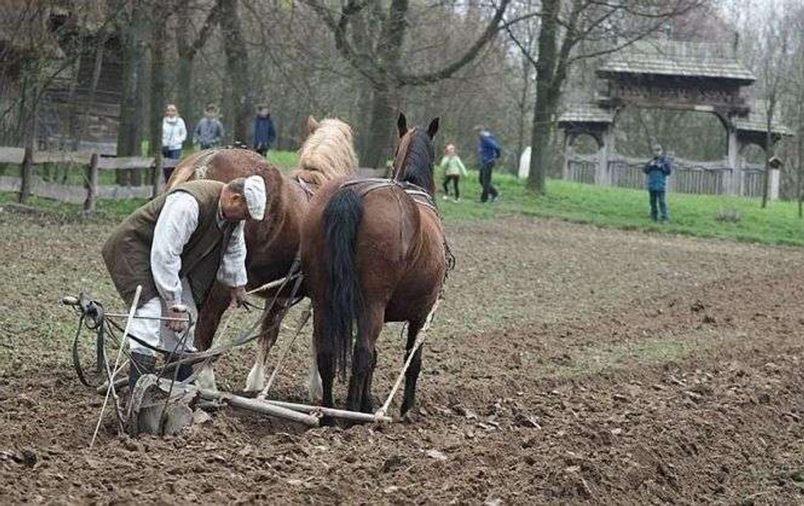 Skansen zaczyna sezon od pokazu orki konnej