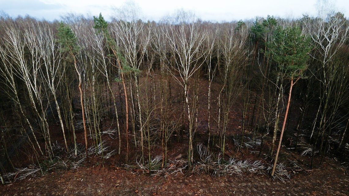 Skarb na obrzeżach Lublina. Naukowcy to potwierdzają