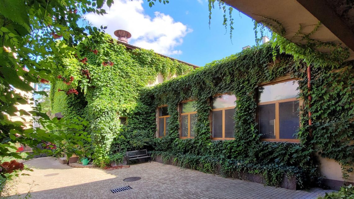 Skarby Kultury Przestrzeni: Piekarnia o zielonych ścianach