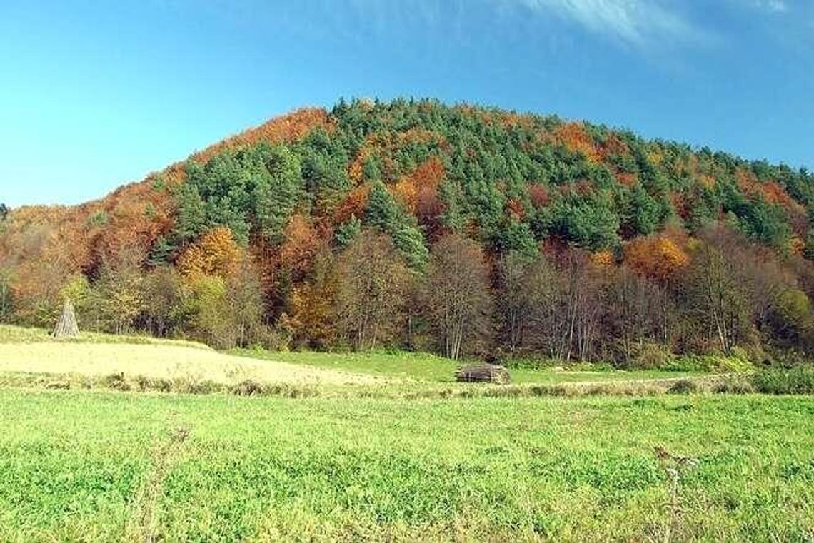 Skarby są. Ale jakie? Czy Czubata Góra skrywa ruiny legendarnego zamku? Skarby są. Ale jakie? Czy Czubata Góra skrywa ruiny legendarnego zamku?