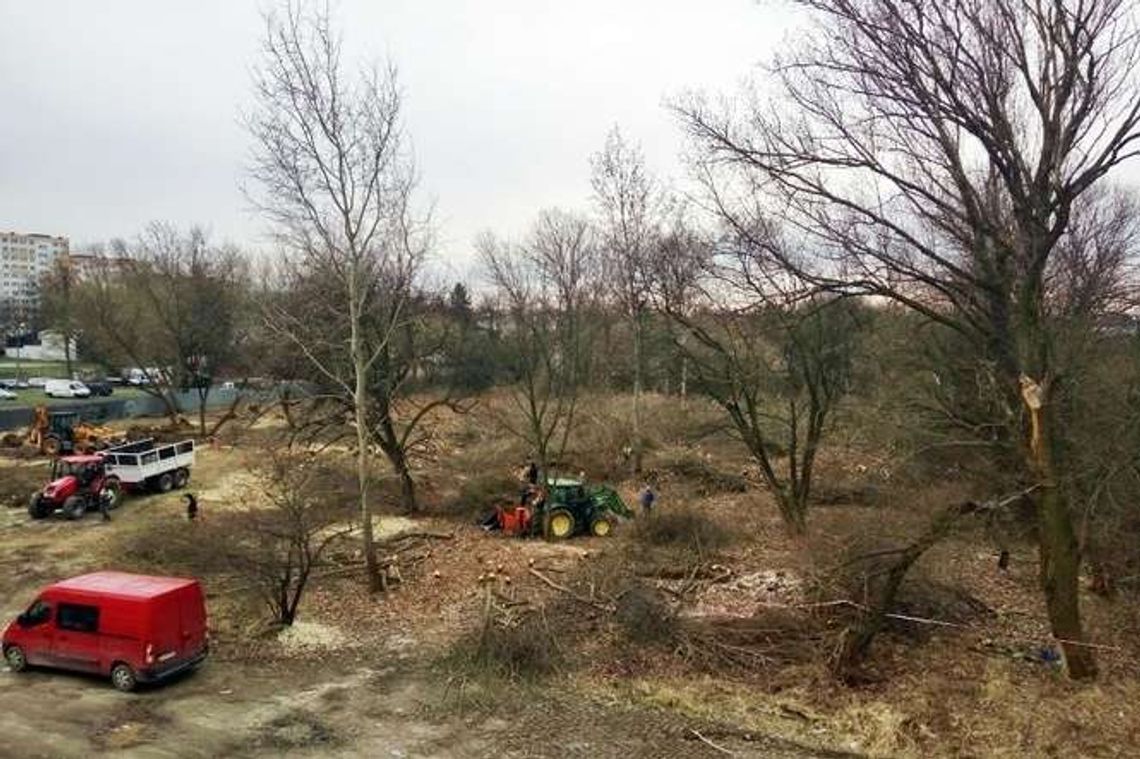 Skarga na prezydenta Lublina za wycinkę drzew w jarze Horpyny