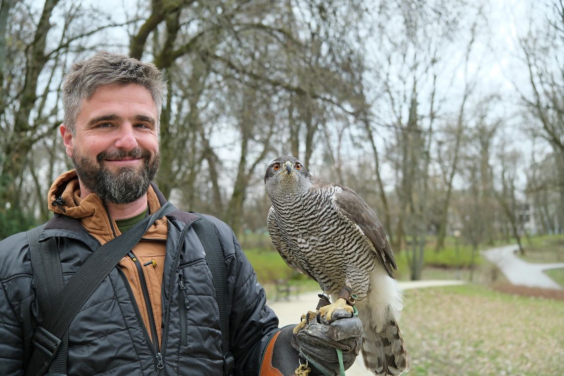 Skrzydlata strażniczka pilnuje Ogrodu Saskiego