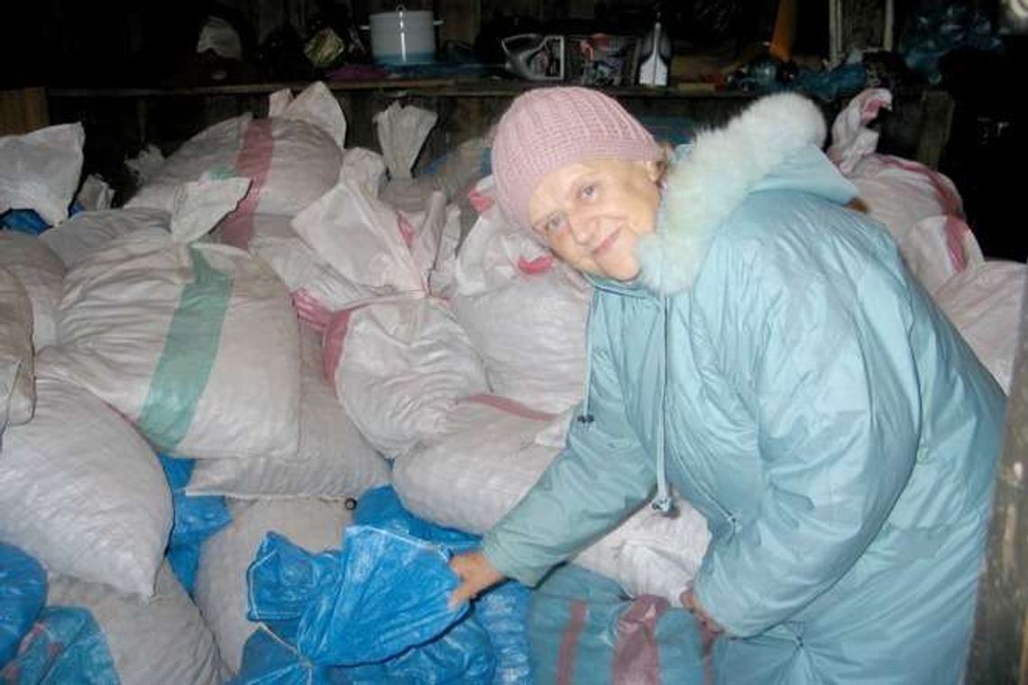 Skup kasztanów - płacą 50 groszy za kilogram. W Chełmie prawdziwa gorączka