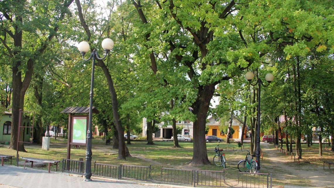 Skwer ma być "bardziej reprezentatywny". Czyli najpierw wycinka drzew, potem beton Skwer ma być "bardziej reprezentatywny". Czyli najpierw wycinka drzew, potem beton