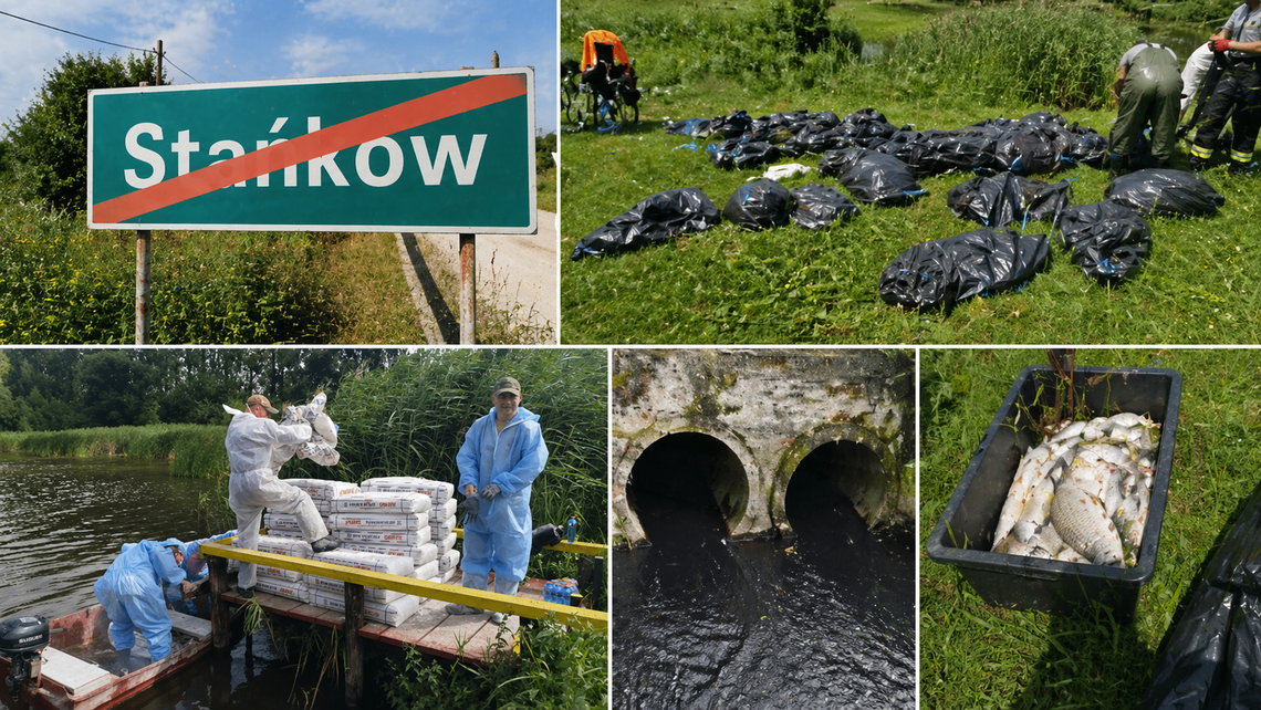 Katastrofa ekologiczna Stańków