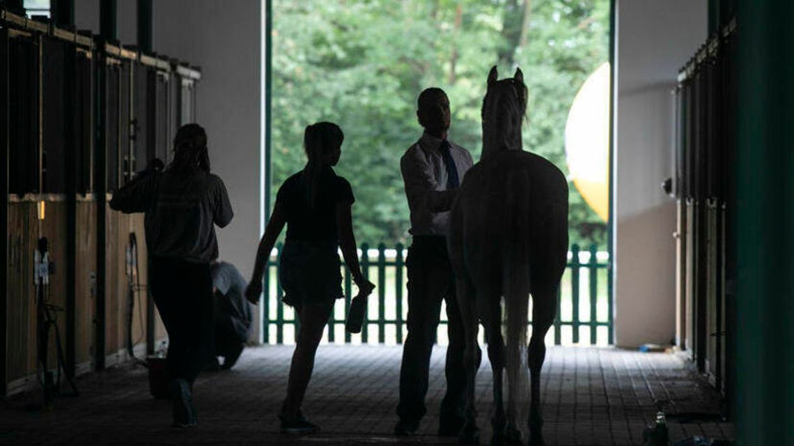 Śledztwo w sprawie stadniny w Janowie Podlaskim przedłużone o pół roku. Po raz kolejny
