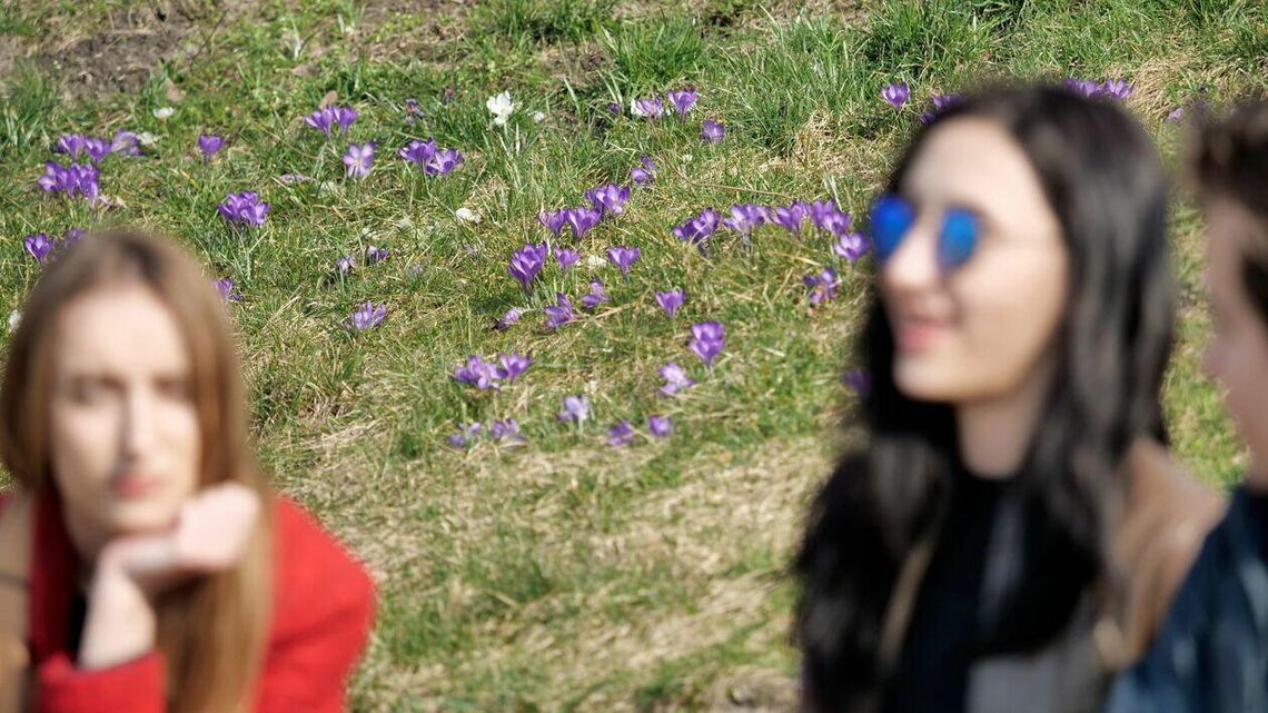 Słońce, czy bardzo dużo słońca? Prognoza pogody na weekend dla lubelskiego