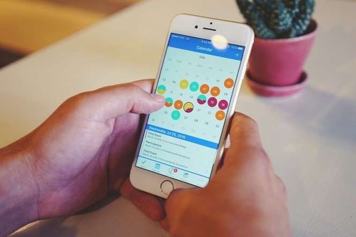 Smartfon wsparciem dla rolników. Firma szuka pieniędzy na realizację pomysłu