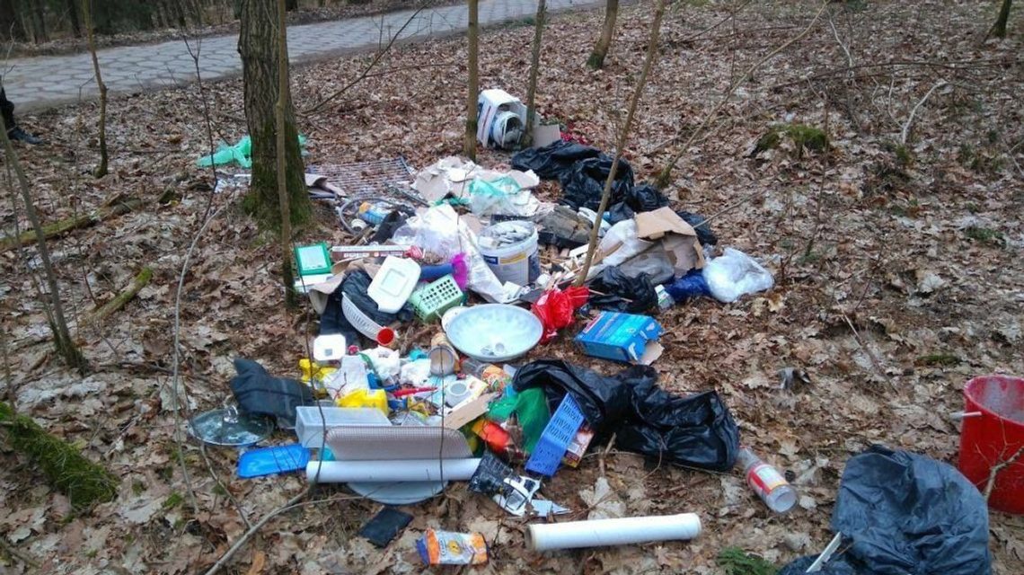 Śmieci po imprezie wyrzucone do lasu. EKO Challenge znalazł właścicielkę na FB i posprzątała