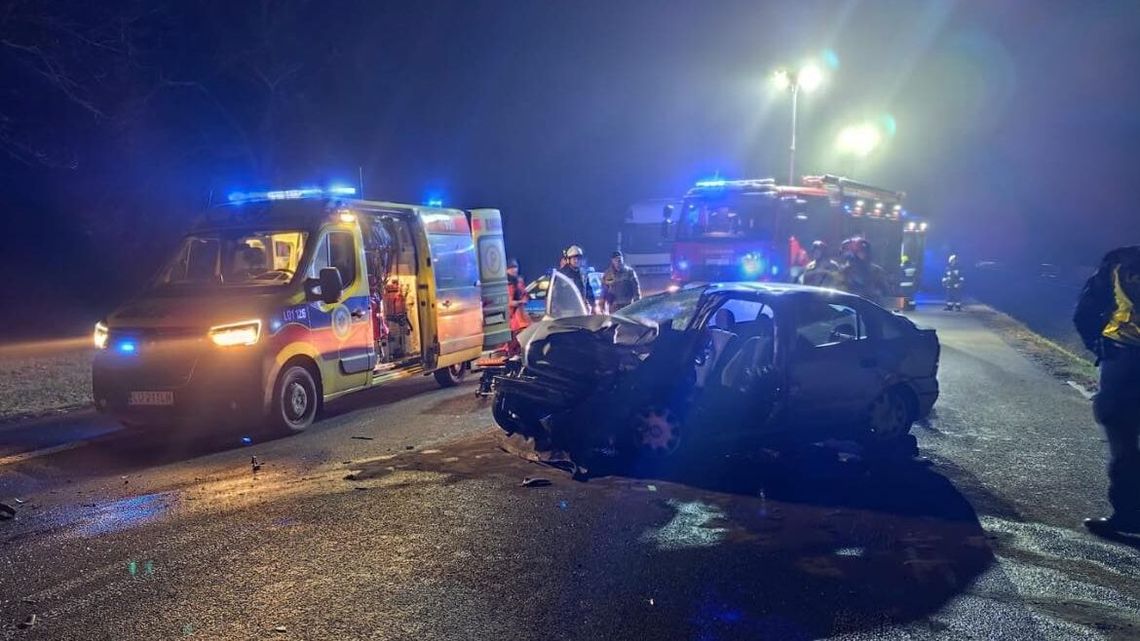 Śmierć na drodze krajowej. Akcja służb trwała kilka godzin
