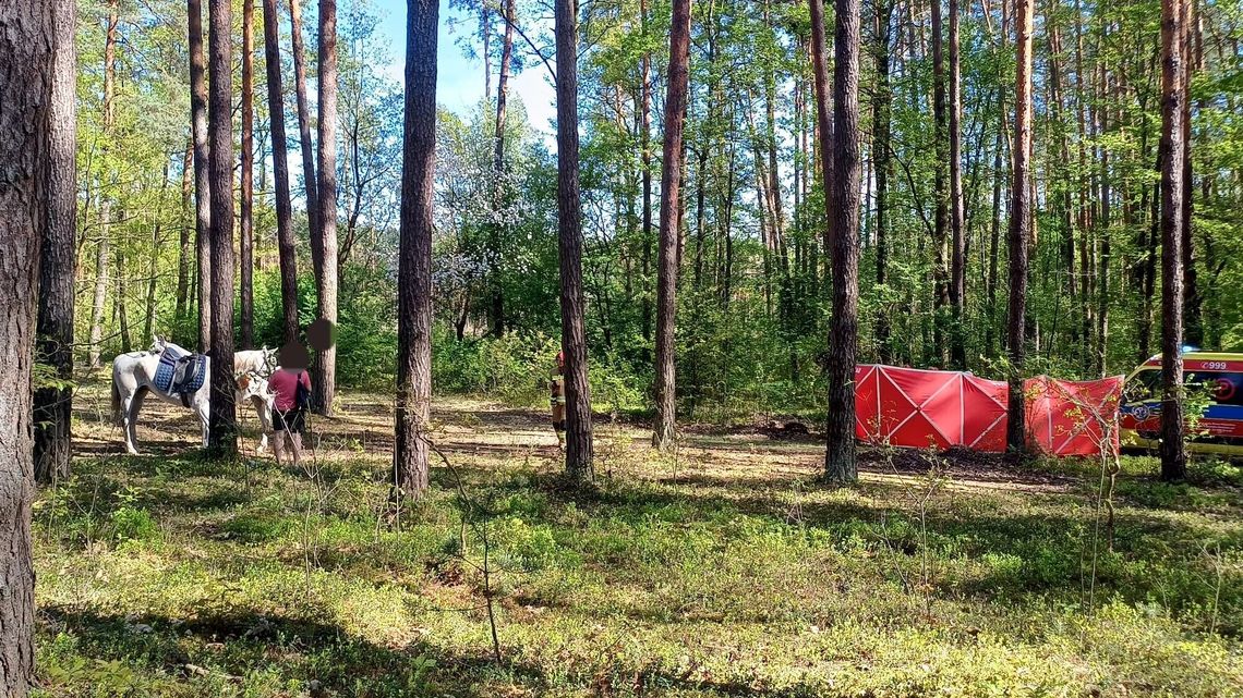 Śmierć nastolatki na konnej przejażdżce. Jest śledztwo