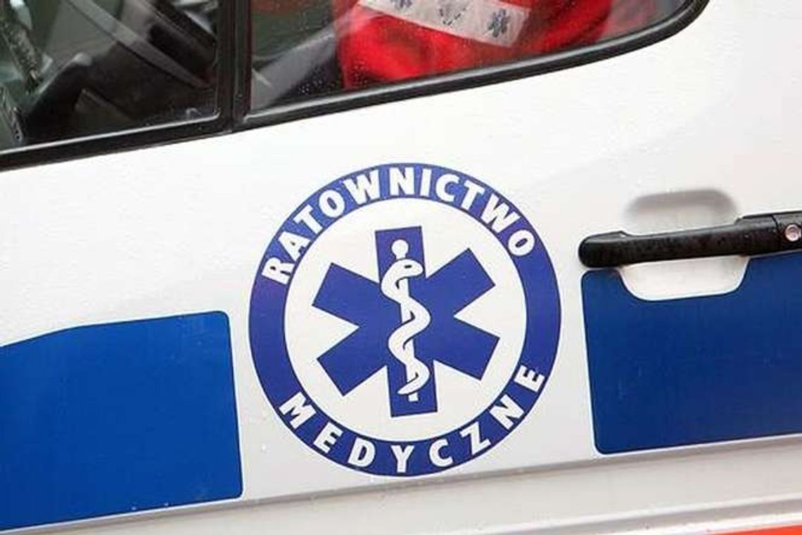 Śmierć w trakcie wycinki drzewa w lesie