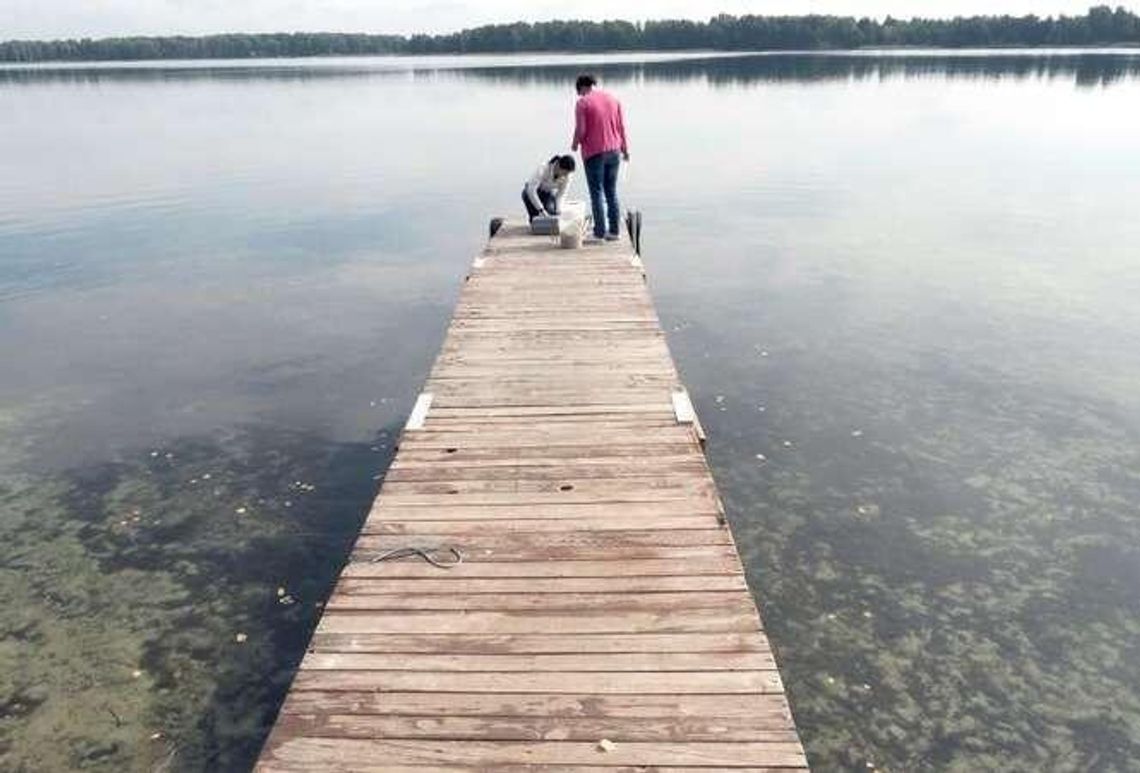 Śmierdzący problem nad jeziorem Piaseczno. WIOŚ sprawdza gdzie trafiały ścieki