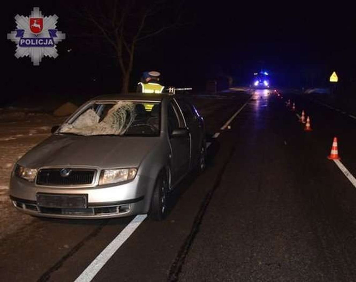 Śmiertelne potrącenie w Kocudzy. Pieszy nie miał odblasków