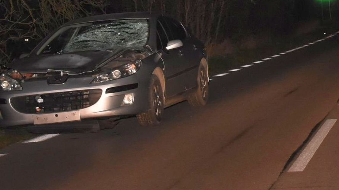 Śmiertelny wypadek na drodze bez oświetlenia. Pieszej nie uchroniła nawet zapalona latarka Śmiertelny wypadek na drodze bez oświetlenia. Pieszej nie uchroniła nawet zapalona latarka