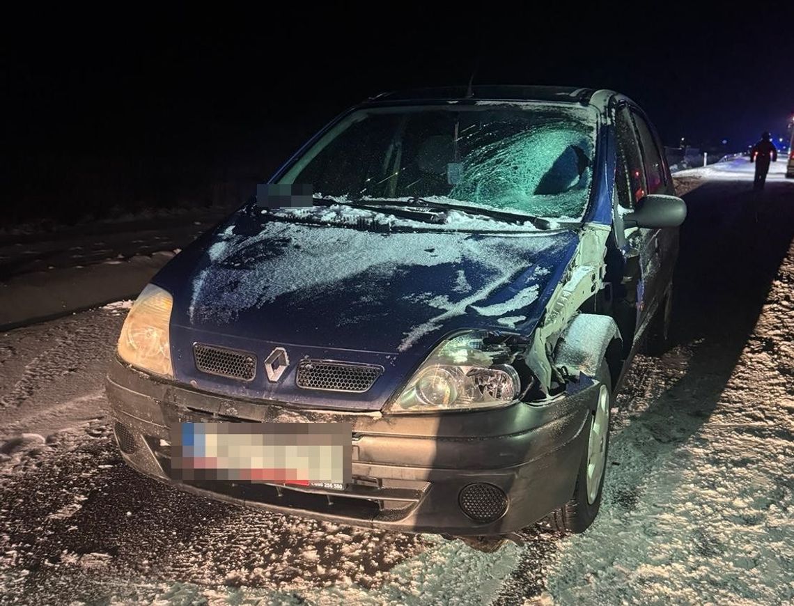 Śmiertelny wypadek na drodze wojewódzkiej. 52-latek zginął na miejscu