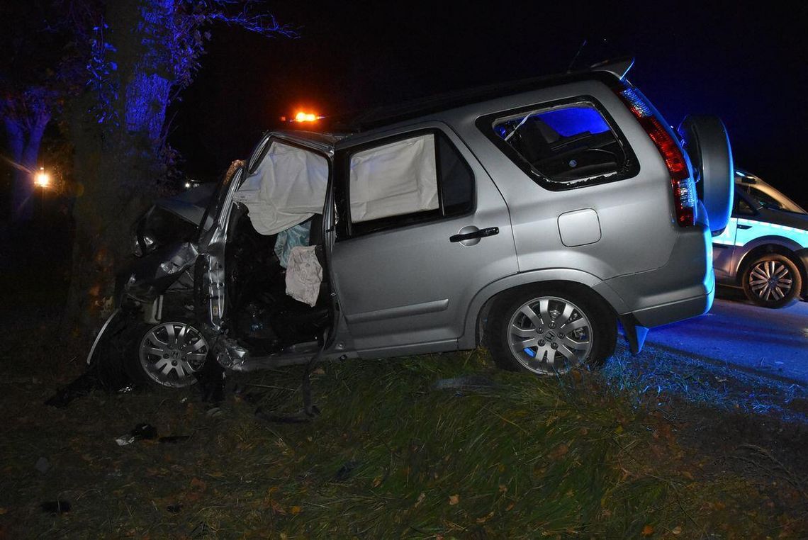 Śmiertelny wypadek pod Siedliszczem. Samochód uderzył w drzewo