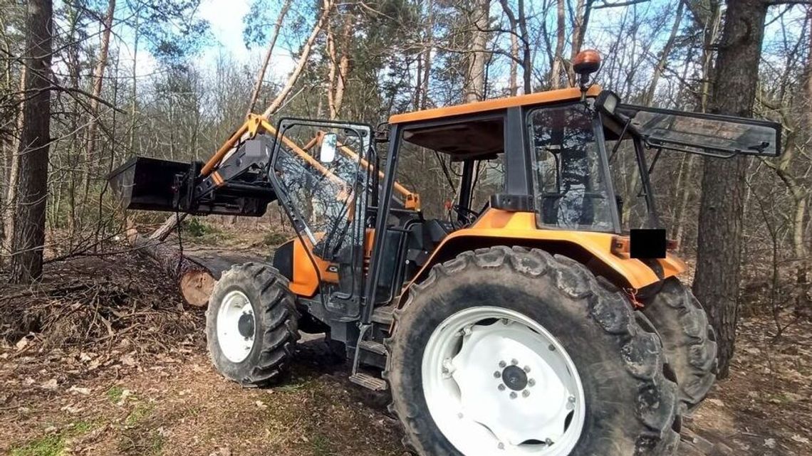 Śmiertelny wypadek podczas wycinki Śmiertelny wypadek podczas wycinki