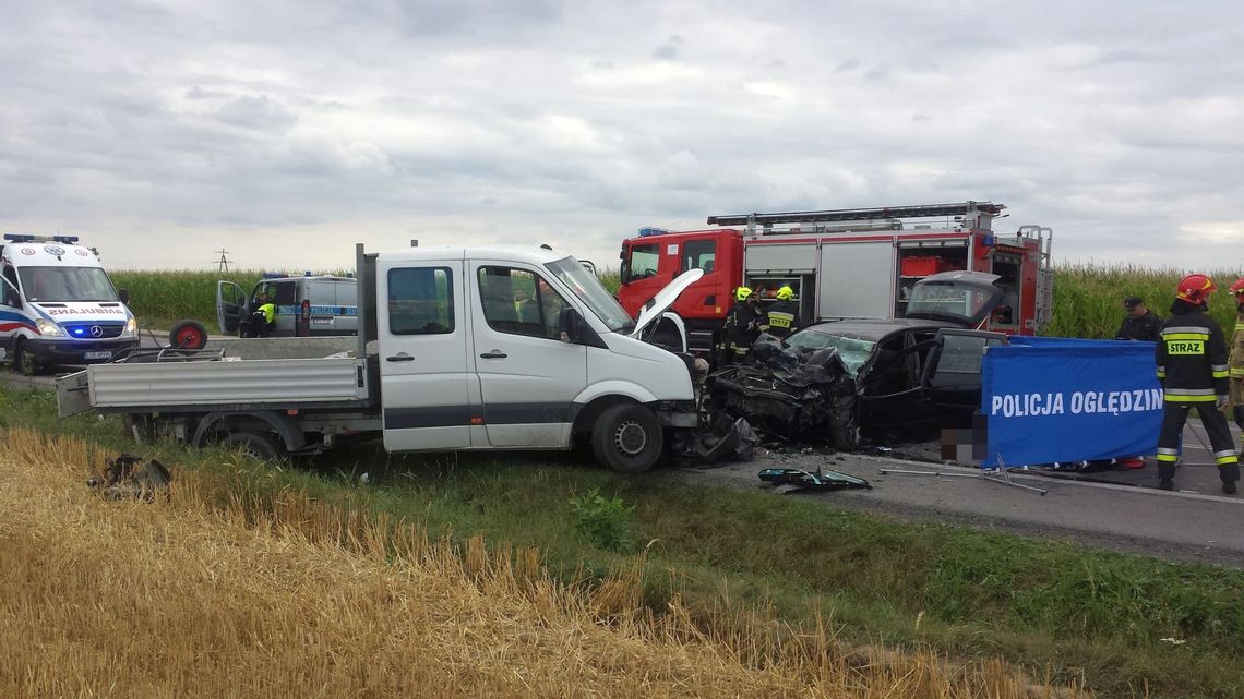 Śmiertelny wypadek w Strzeszkowicach Dużych [zdjęcia]