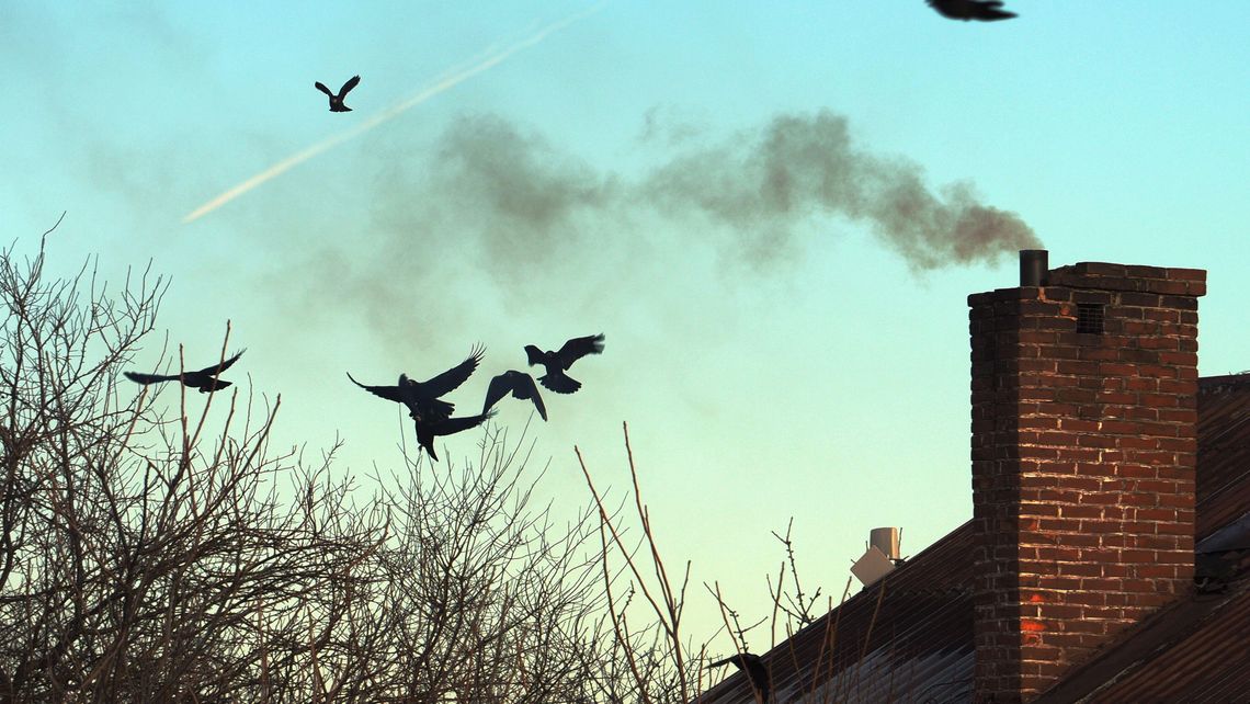 Smog spowoduje 40 tys. przedwczesnych zgonów w Polsce