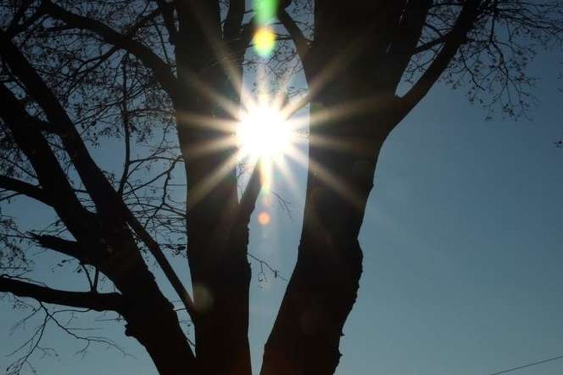 Smog w Białej Podlaskiej. Działacze z czujnikiem