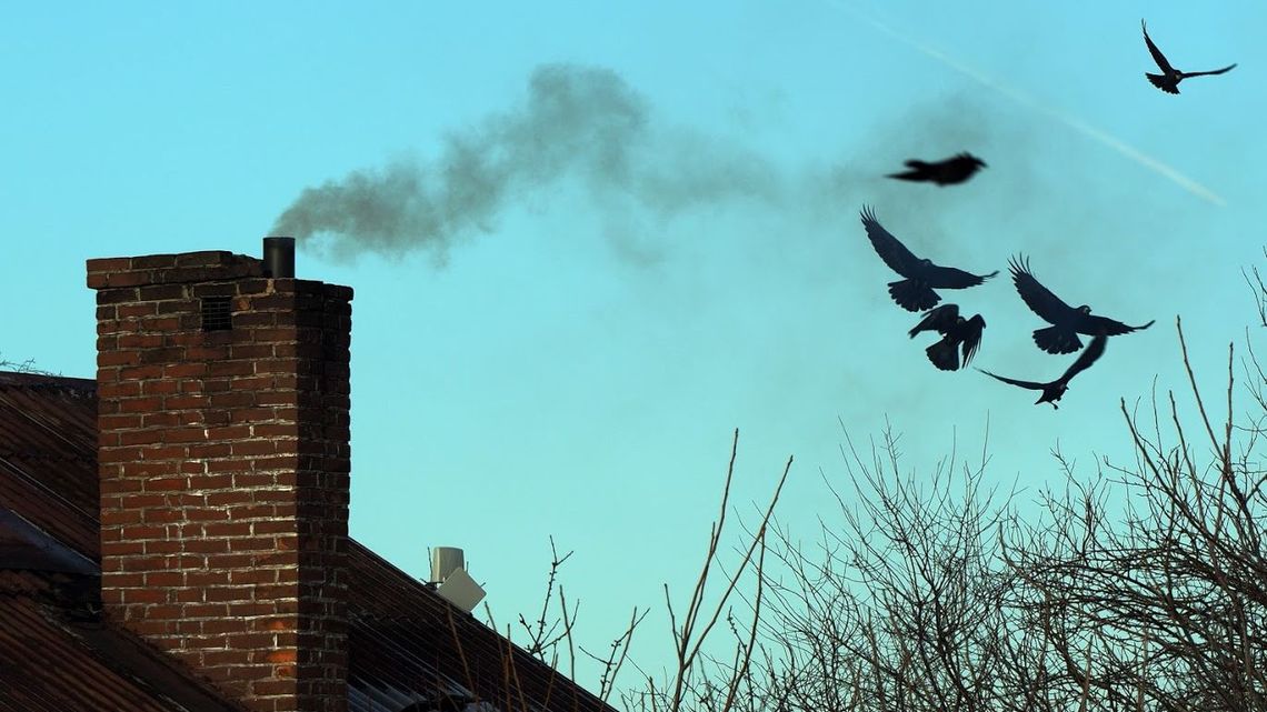 Smog w Lublinie. Co ma największy wpływ na zanieczyszczenie powietrza?
