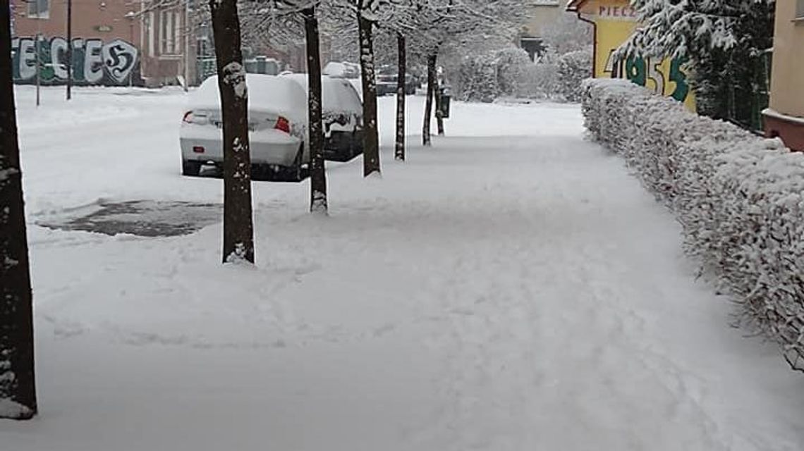 Śnieg na chełmskich ulicach. Mniej samochodów i spacerowiczów