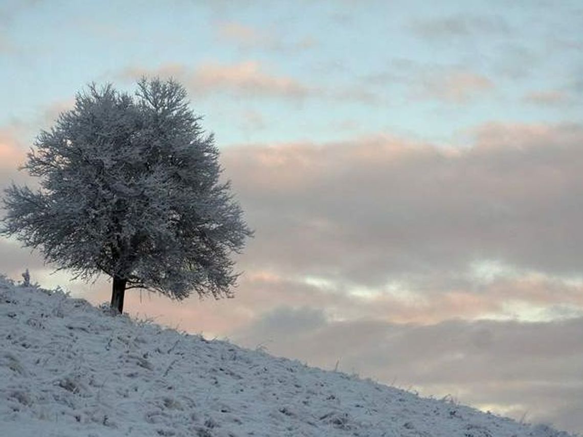Śnieg w Bieszczadach. Zobacz zdjęcia pięknych gór