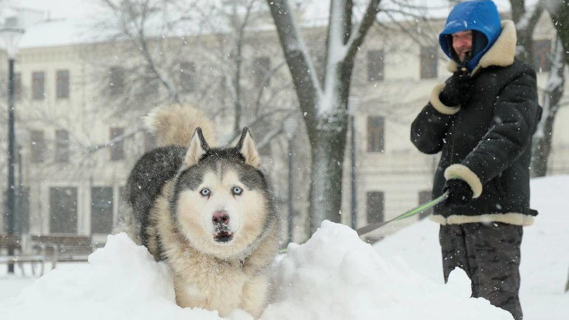 Śnieg w Lublinie. I jeszcze będzie padał