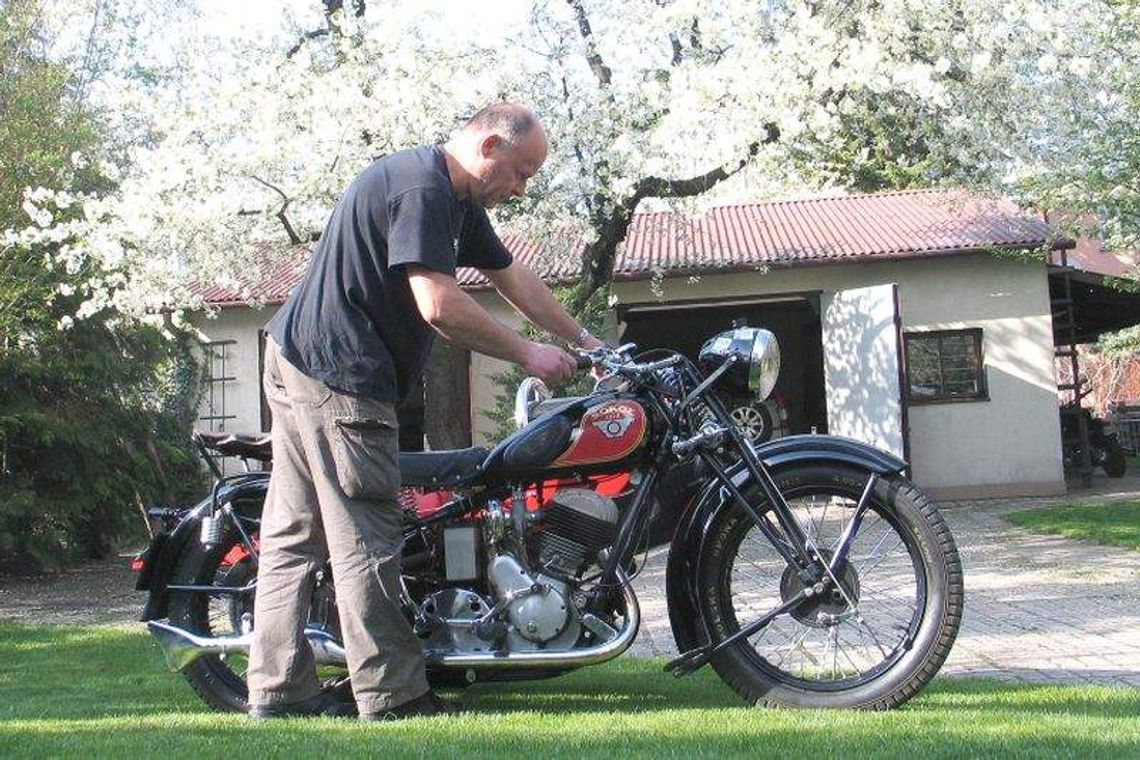 Sokół wart 20 krów Sokół wart 20 krów