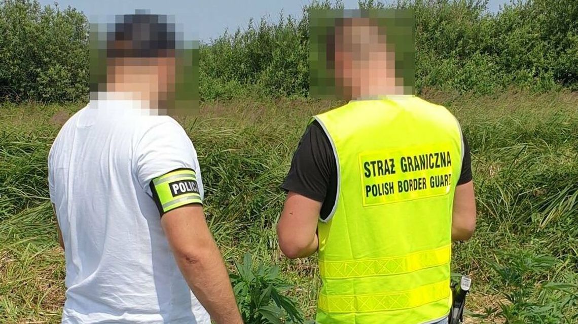 Solidna wtopa to mało powiedziane. Tak się nie zostaje "plantatorem z prawdziwego zdarzenia" Solidna wtopa to mało powiedziane. Tak się nie zostaje "plantatorem z prawdziwego zdarzenia"