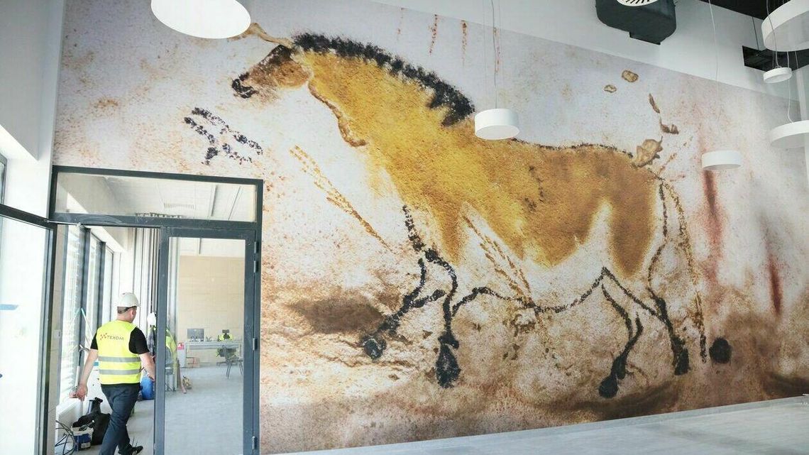 Spa dla koni i nie tylko. Niedługo otwarcie nowoczesnego ośrodka jeździeckiego UP [zdjęcia]