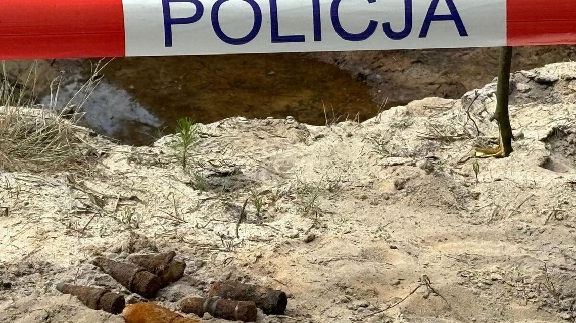 Spacer po lesie z niespodzianką. Policjanci pilnowali znaleziska