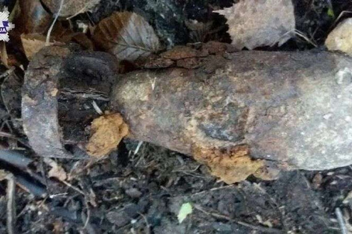 Spacerował po lesie. Znalazł bombę lotniczą