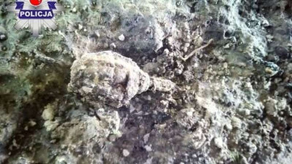 Spacerował z psem. Nie spodziewał się takiej przygody