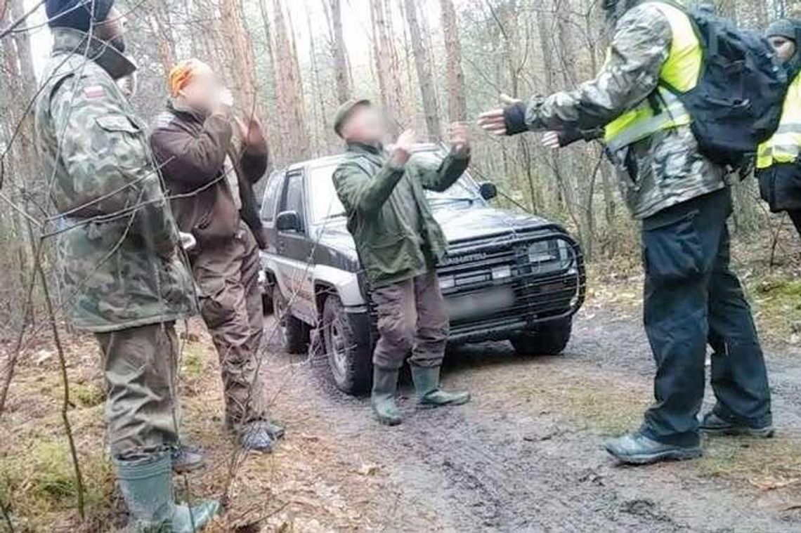 Spacerują przed lufami strzelb. Nie boją się kary, będą blokować polowania Spacerują przed lufami strzelb. Nie boją się kary, będą blokować polowania