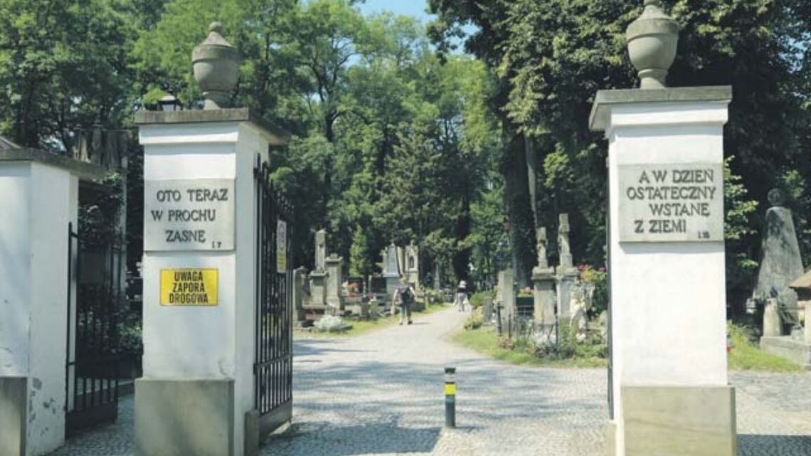 Spacery wśród cieni. Cmentarz przy ul. Lipowej bez tajemnic